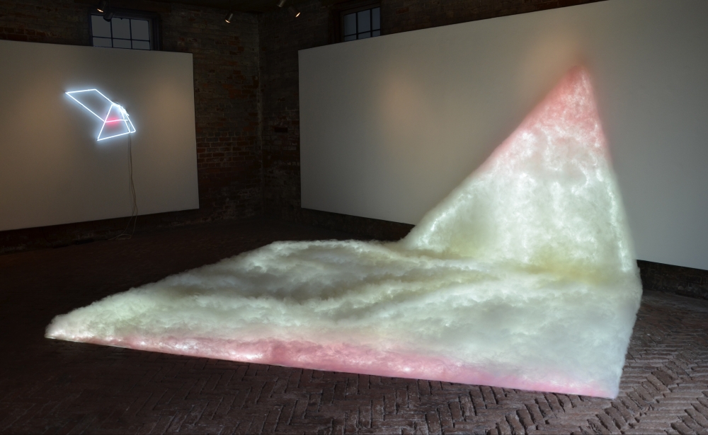 Bojana Ginn, Praising Softness, Installation at Whitespace Gallery 2